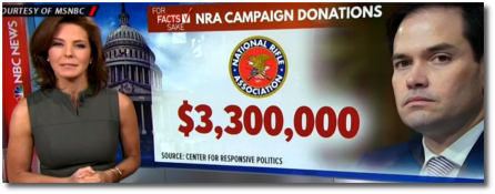 Stephanie Ruhle details amounts of contributions from the NRA to members of congress